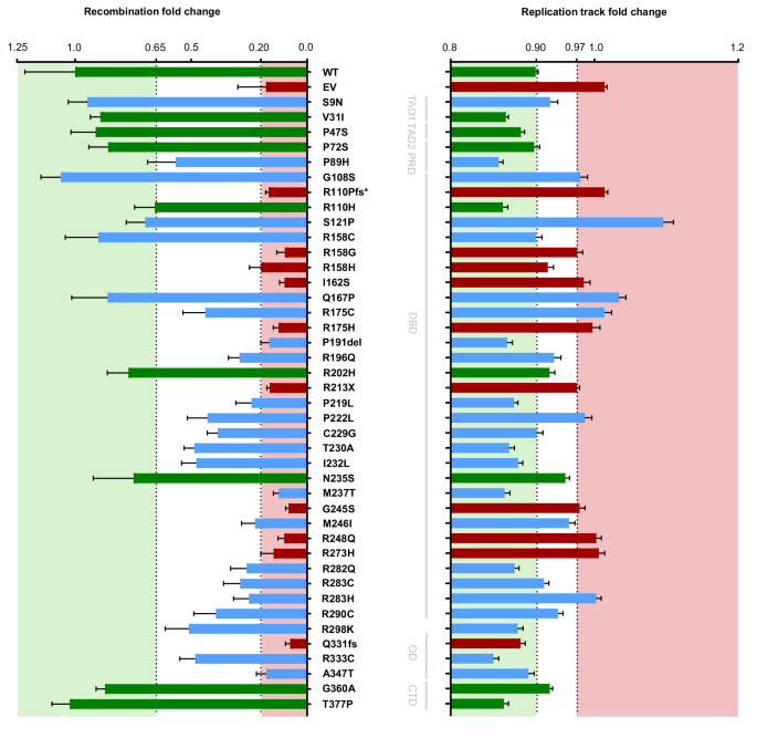 Fig. 4: Side-by-side comparison of recombination and replication track changes.