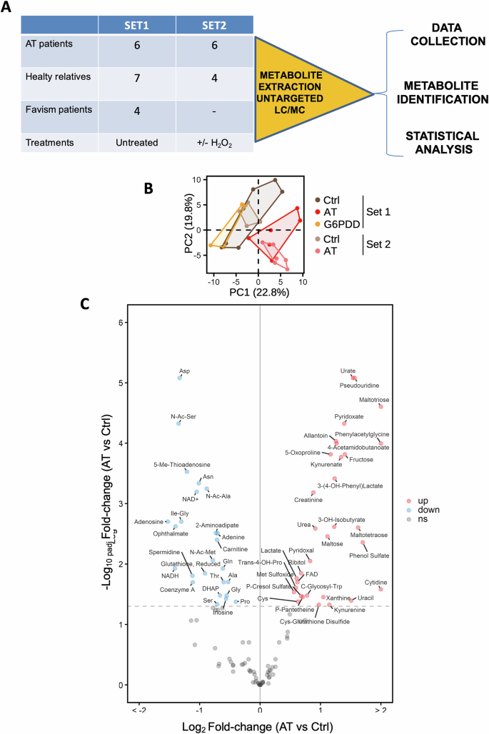 Fig. 1: Metabolic and oxidative stress-response profiling reveals profound disruptions in primary AT cells.