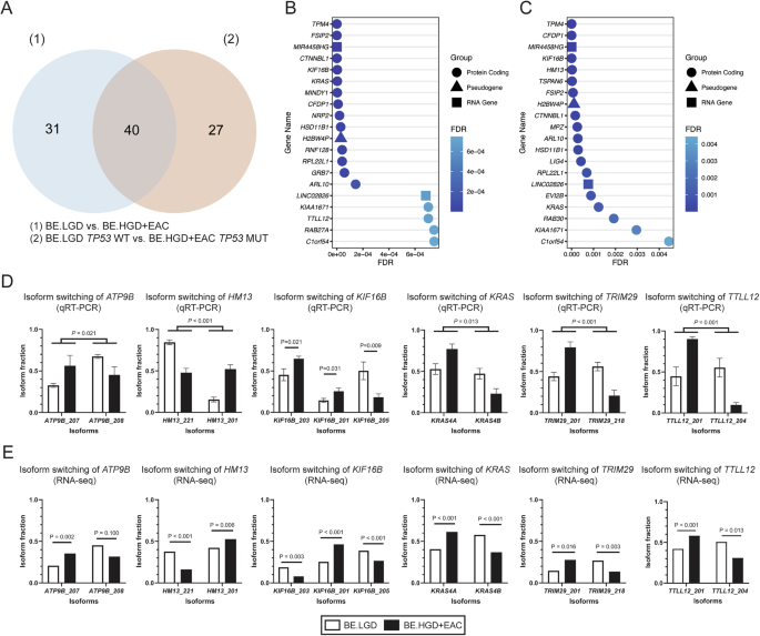 Fig. 1: Isoform switching events between BE.LGD versus (vs.) BE.HGD + EAC tissue samples.