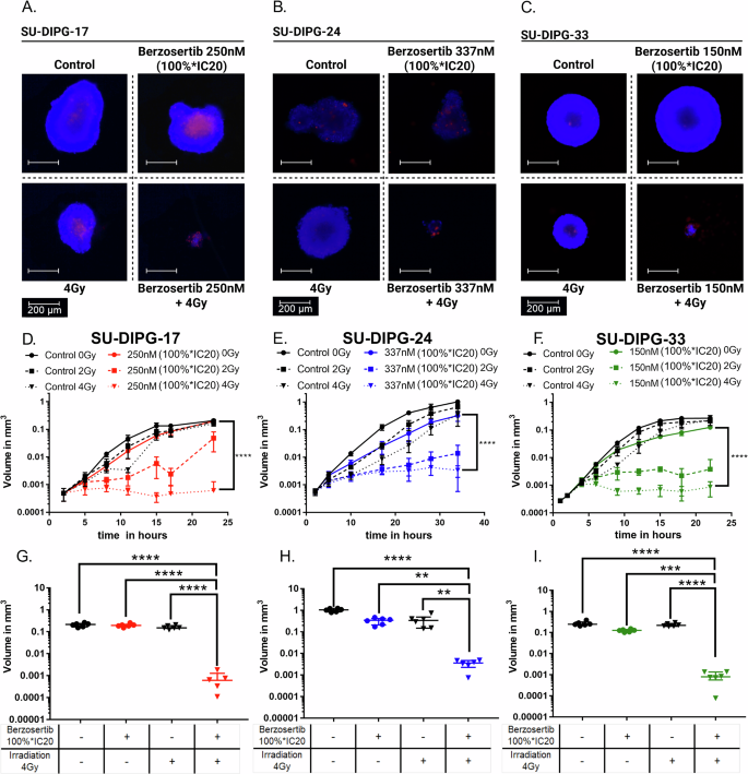 Fig. 4: Berzosertib enhanced the radiation-induced growth delay of DMG-spheroids.