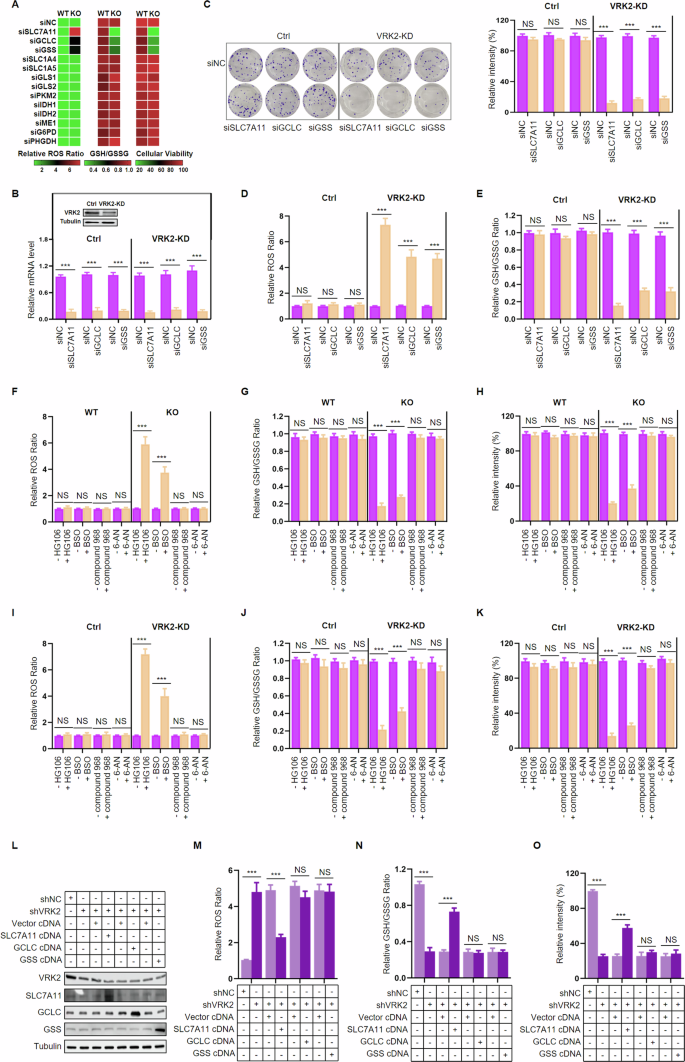 Vaccinia-related kinase 2 inhibition elicits vulnerability of glutathione  metabolism in pancreatic cancer