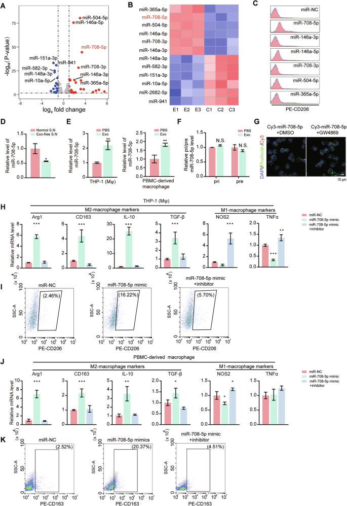 Fig. 2: Melanoma exosome enriched miR-708-5p is internalized by macrophages and promotes their M2 polarization.