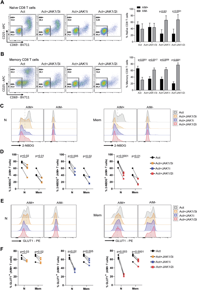 Fig. 2: Activation markers and glucose uptake in AIM+ and AIM− CD8 T cells under JAK inhibition.