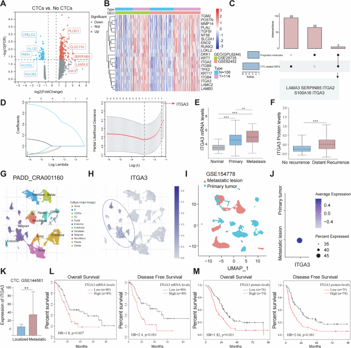 Fig. 1: The Identification of ITGA3 as a potential regulator of CTCs Formation and Metastasis in PDAC.