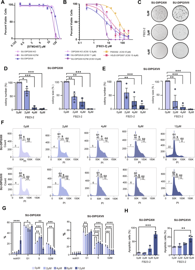 Fig. 3: Effects of FB23-2 treatment on DMG survival, proliferation, and cell cycle progression.