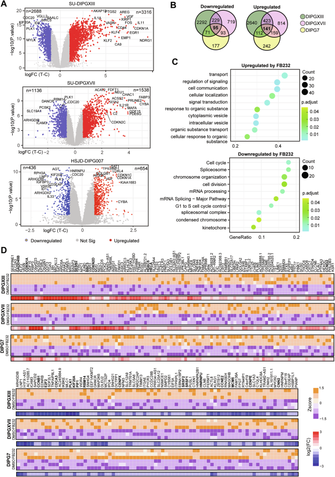 Fig. 4: Gene expression changes following FB23-2 treatment of DMG cells.