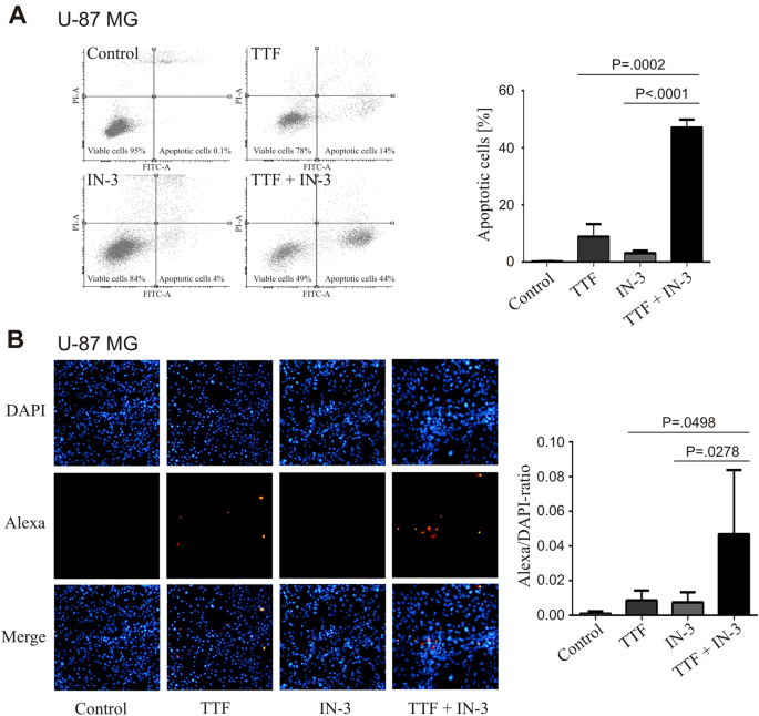 Effects Of Tumor Treating Fields Ttfields On Glioblastoma Cells Are Augmented By Mitotic Checkpoint Inhibition Cell Death Discovery