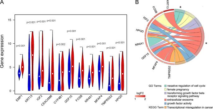 Fig. 8: The enrichments of DEGs genes obtained between the high-risk and low-risk subgroups of cluster 1.