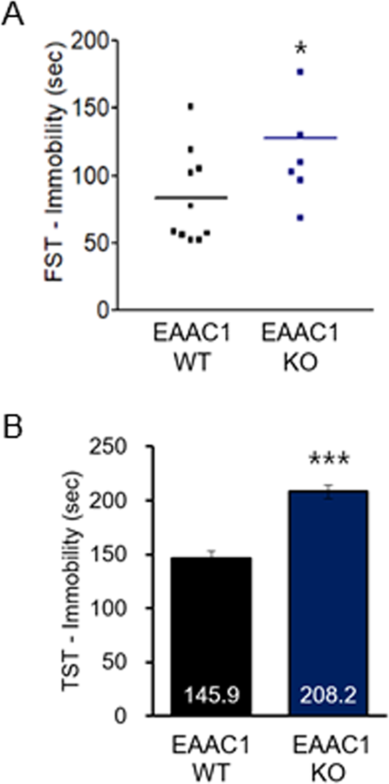 Fig. 8: EAAC1 (−/−) mice show depressive-like behavior in adolescence.
