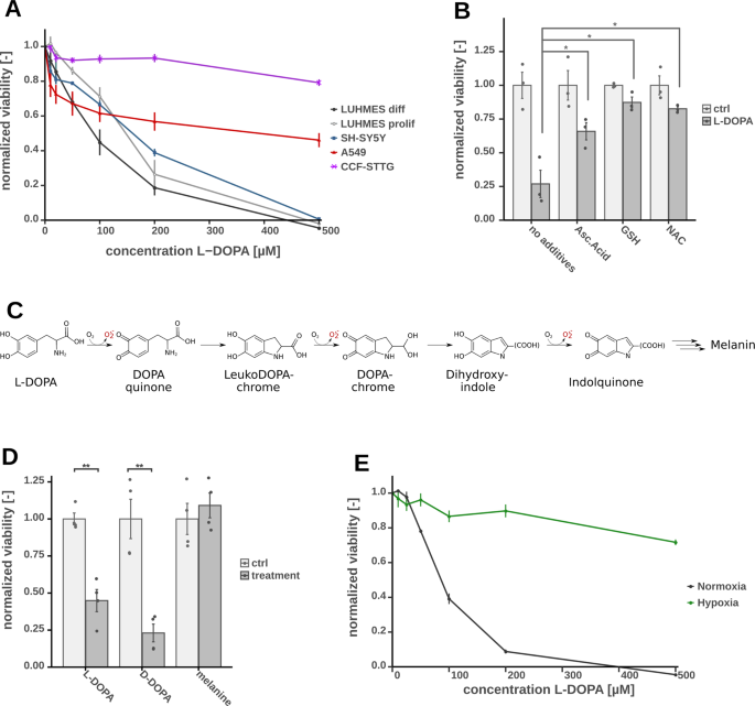 Fig. 1: Viability assay based on resazurine after 24 h of l-DOPA treatment of LUHMES, displayed with the means and standard errors and normalized to the control group without l-DOPA, significance level were calculated using Welch’s t-test (*p-value < 0.05, **p-value < 0.01).