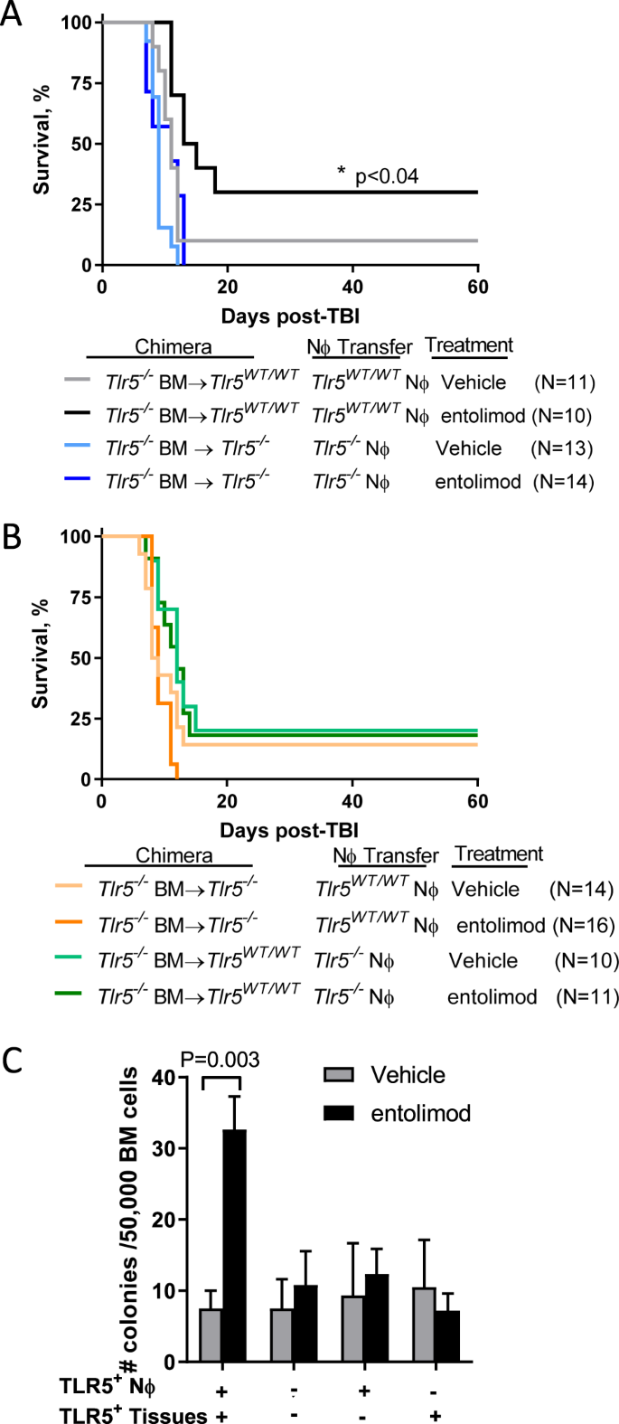Signaling through TLR5 mitigates lethal radiation damage by  