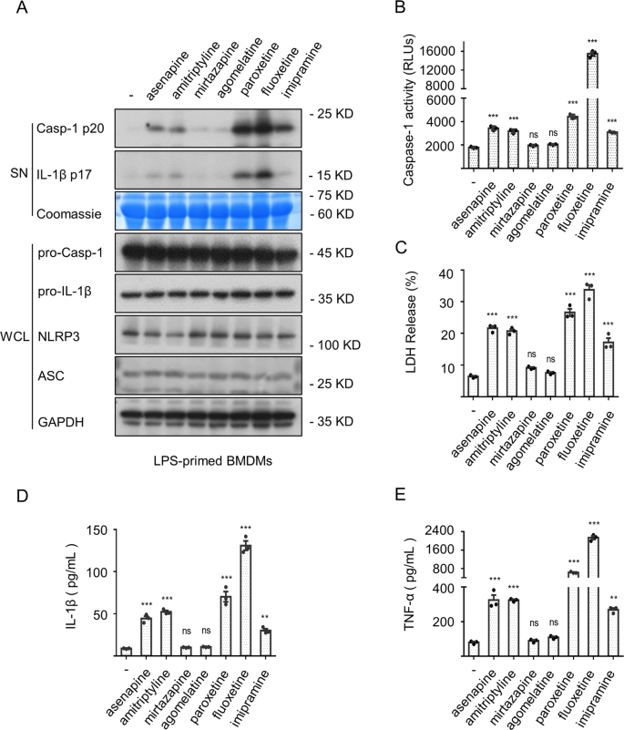 Fig. 1: Numerous psychotropic drugs directly trigger the inflammasome activation.