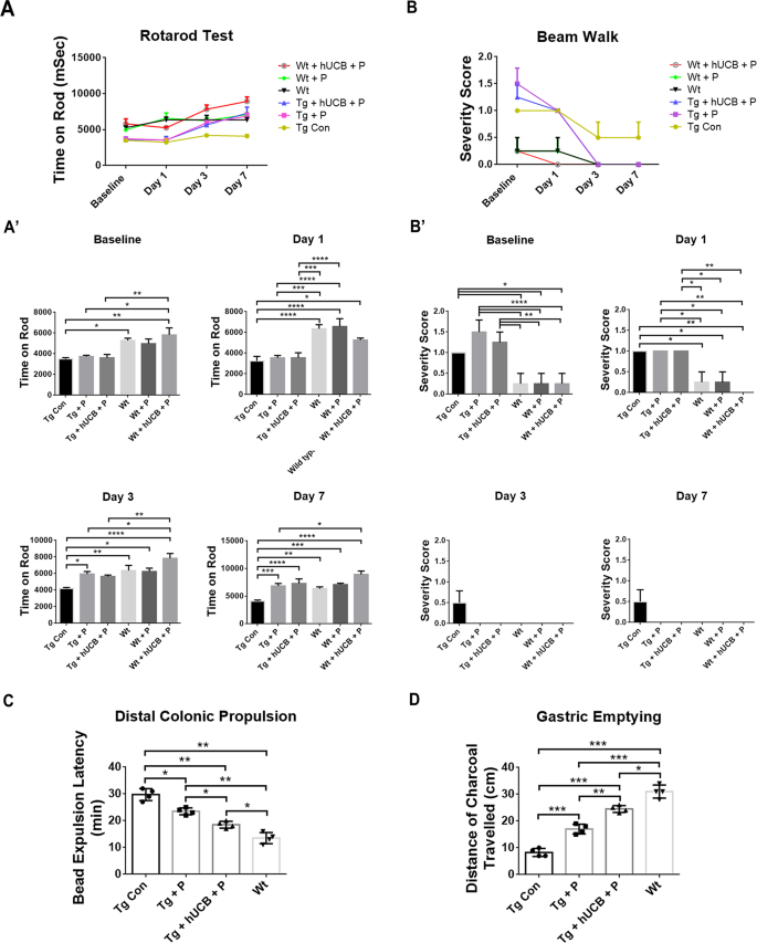 Fig. 1: Behavioral test and gut functional assays.