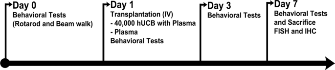 Fig. 6: Treatment timeline.