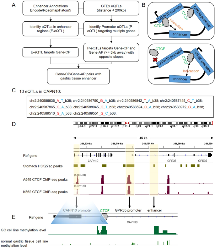 Fig. 1: ERR events in the stomach.