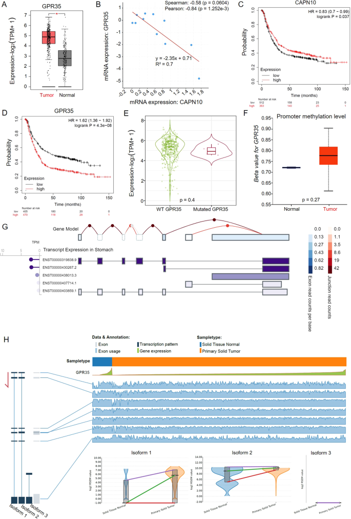 Fig. 3: High expression for GPR35 represents the bad prognosis for GC patients.