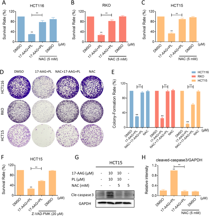 Fig. 4: ROS scavenger reversed inhibition of cell viability by combination treatment.
