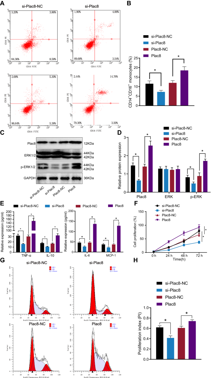 Fig. 5: Effects of plac8 on monocyte cell survival and proliferation in the mouse model.