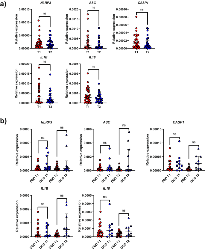 Fig. 5: Expression of NLRP3 inflammasome-related genes in liver biopsies from donated livers.