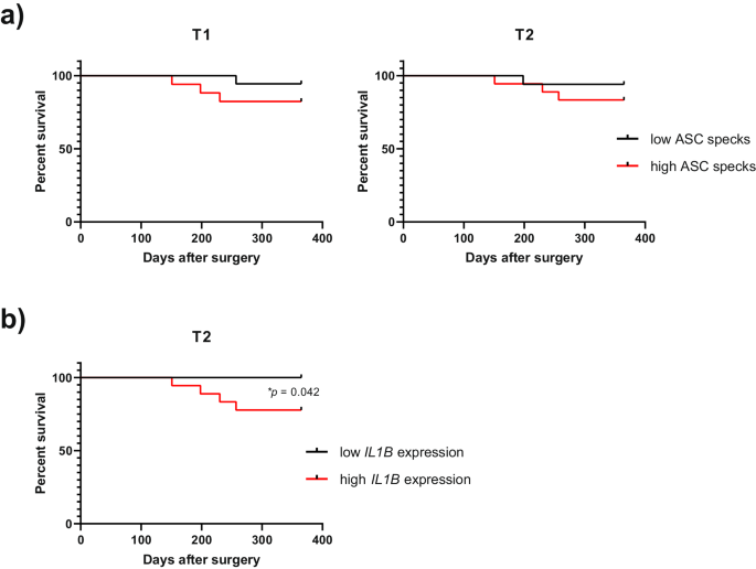 Fig. 7: Hepatocyte inflammasome activation detection during donation as biomarker for liver transplant outcome.