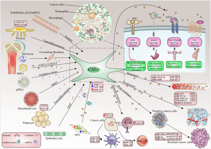 presenting research findings cafs figure 1