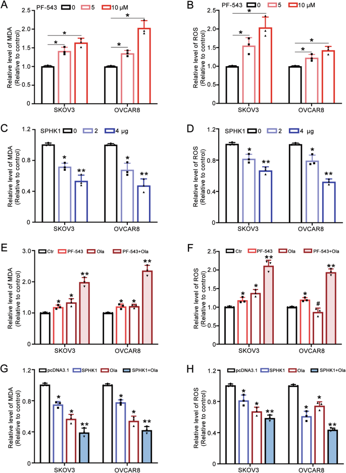 Fig. 6: SPHK1 inhibits ferroptosis in ovarian cancer cells.