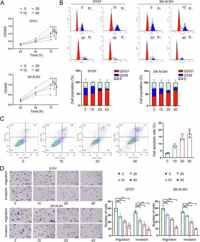 Fig. 2: LNT inhibits NB cell growth, migration, and invasion.