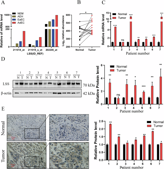 Fig. 1: LSS is upregulated in EC tissues.
