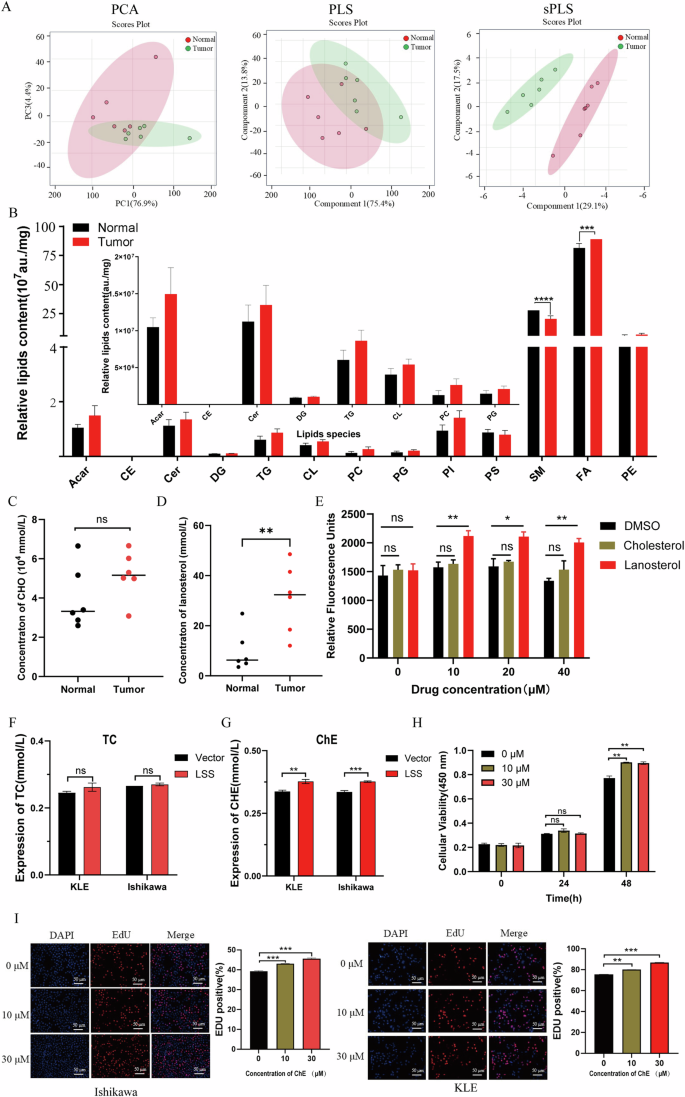 Fig. 5: Patients with EC have lipid metabolism disorders, and LSS promotes the growth of EC cells by affecting the accumulation of cholesterol esters.