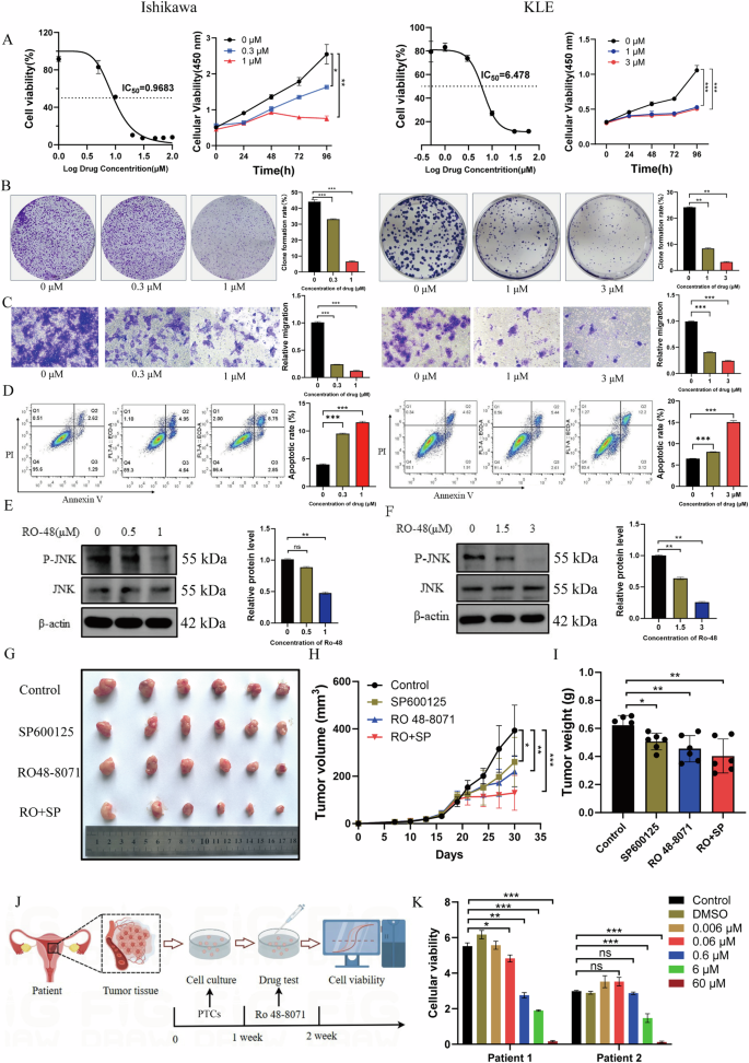 Fig. 6: Ro 48-8071 inhibits EC cell proliferation in vitro and tumor growth in vivo.