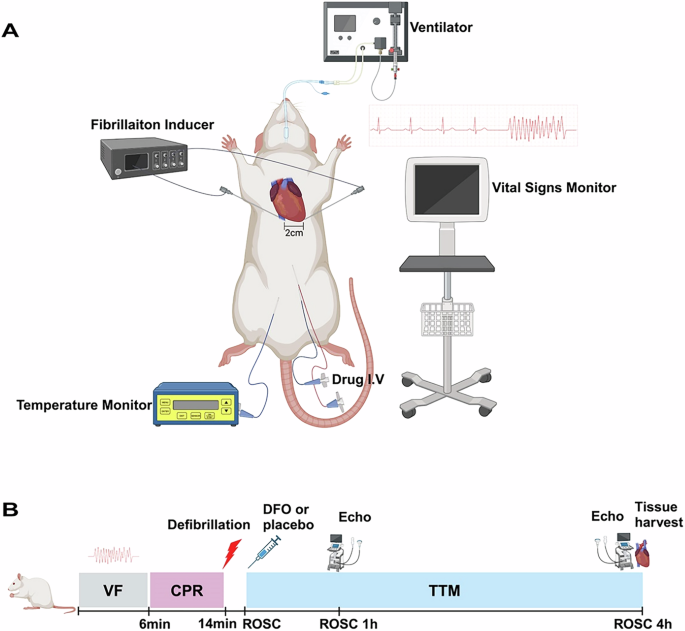 Fig. 7: Experimental procedure.