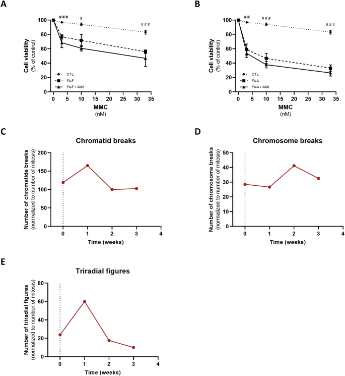Fig. 4: Amlexanox was not able to improve cell survival upon genotoxic treatment.