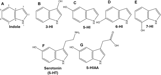 Fig. 1: Chemical structures of the hydroxyindole analogs that were tested in this study.