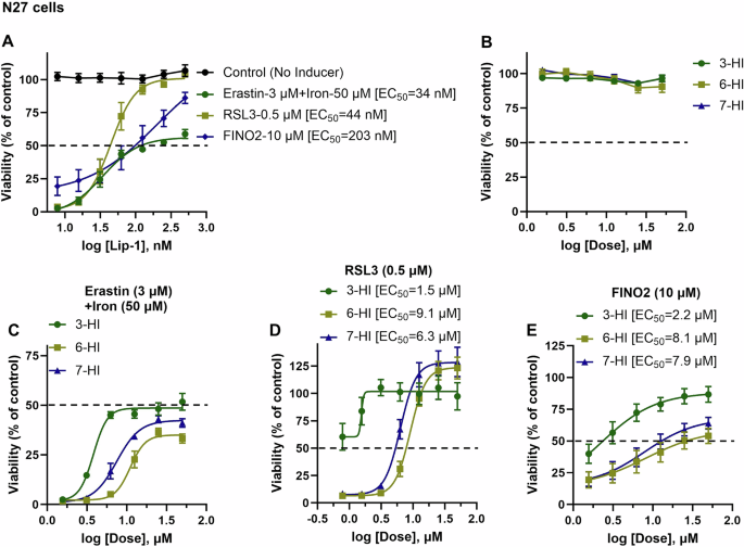 Fig. 5: The comparative anti-ferroptotic activity of 3-, 6-, and 7-hydroxyindoles was evaluated against various ferroptosis inducers in N27 cells.