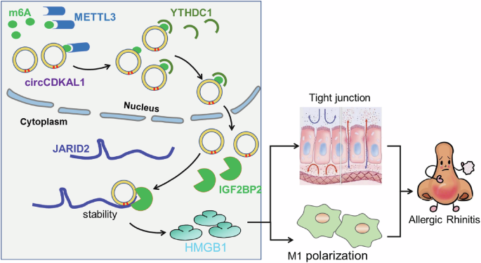 Fig. 8: Schematic diagram of mechanism.