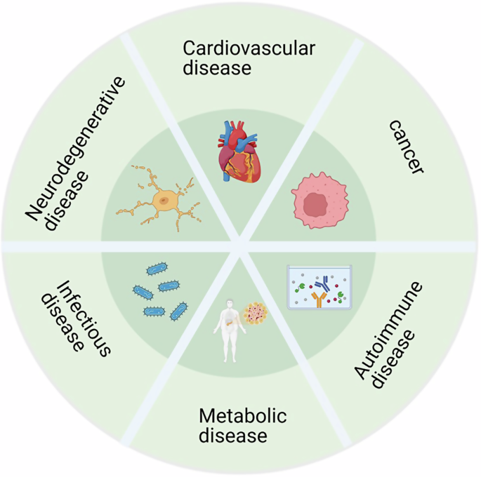 Fig. 5: The role of mitochondria in disease.