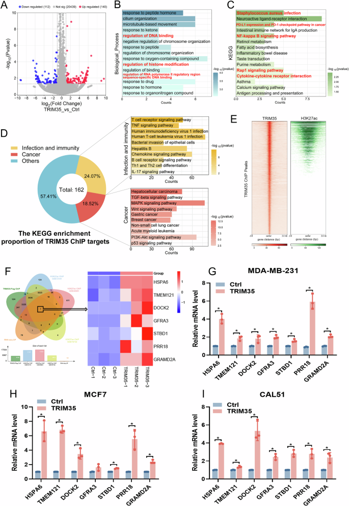 Fig. 5: Integrative analysis of ChIP-seq and RNA-seq identifies TRIM35-regulated targets.