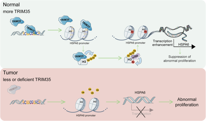 Fig. 8: Mechanism diagram.