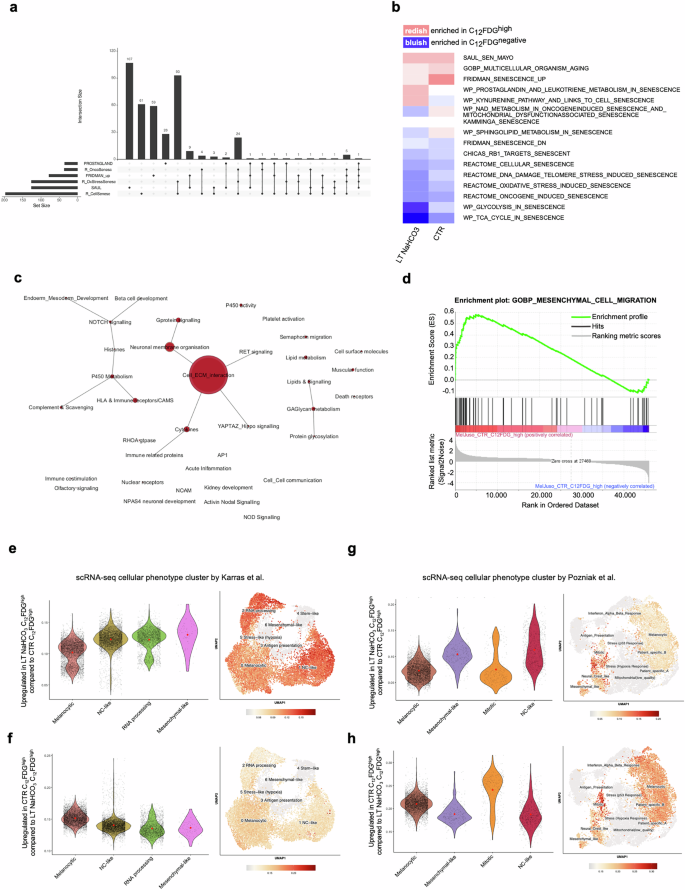 Fig. 4: RNA-sequencing analysis of sorted subpopulations.