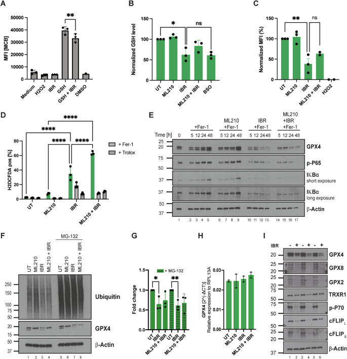Redox destabilization by ibrutinib promotes ferroptosis in diffuse large  B-cell lymphoma (DLBCL) | Cell Death Discovery