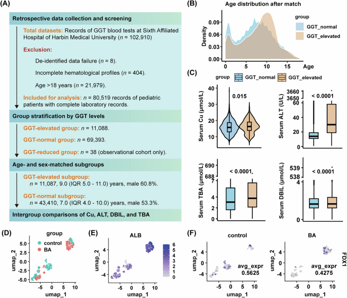 Fig. 1: Elevated levels of serum copper and cholestatic bio-markers, and decreased FDX1 expression of hepatocytes in children with cholestasis.