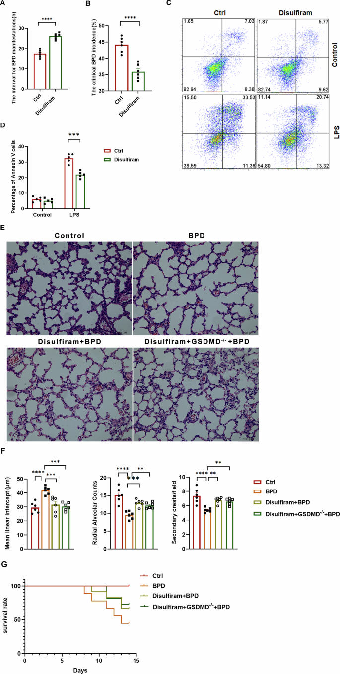 Fig. 8: Disulfiram mitigates the severity of experimental BPD.