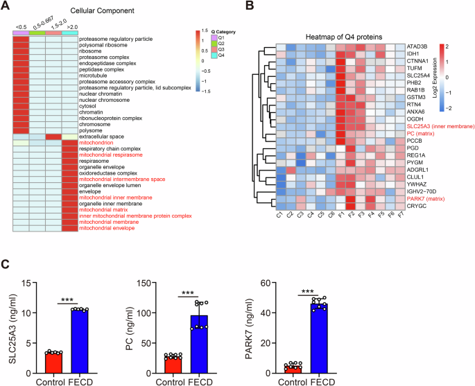 Fig. 3: Mitochondrial proteins analysis of the aqueous humor from patients with and without FECD.