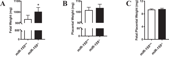 Fig. 1: Fetal and placental weights from miR-155-/- and miR-155+/+ mice at pc day 18.5.