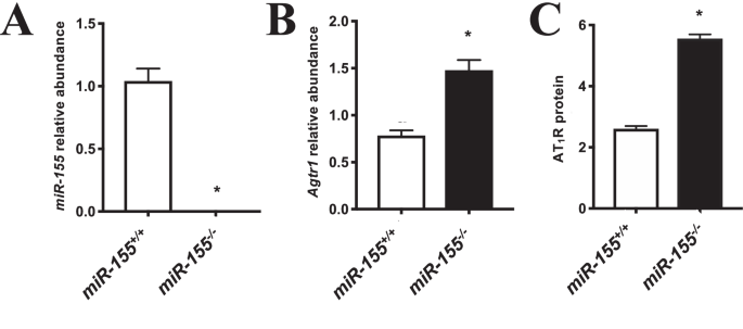 Fig. 3: Expression of miR-155 and Agtr1 mRNA and AT1R protein in placentae from miR-155-/- and control mice.