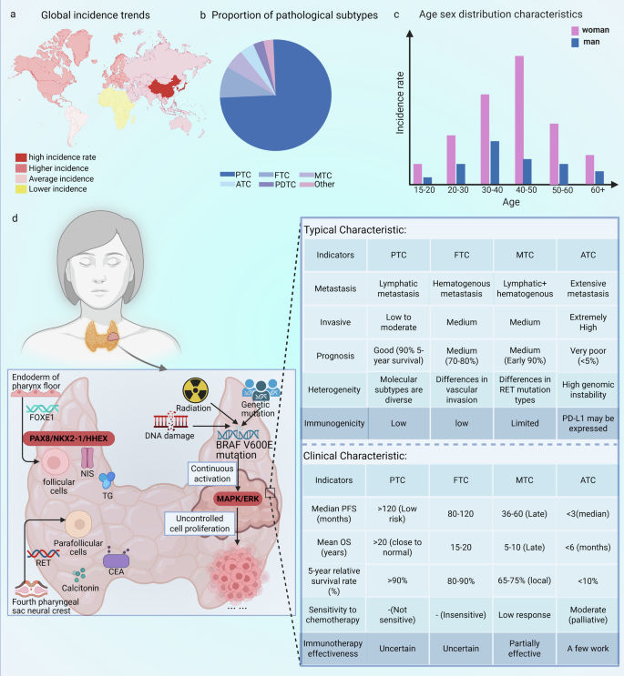 The molecular mechanisms and potential therapeutic implications of the crosstalk between DNA methylation and metabolic reprogramming in thyroid cancer