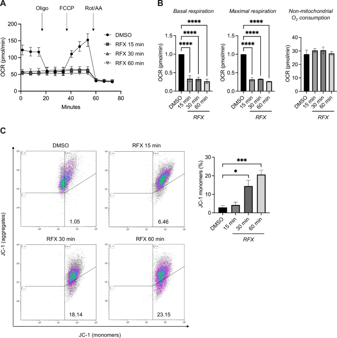 Fig. 1: Rafoxanide impairs mitochondrial respiration and membrane potential in CRC cells.