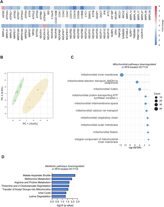 Fig. 2: Prolonged treatment with rafoxanide affects mitochondrial function.
