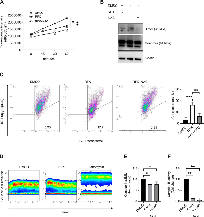 Fig. 5: Rafoxanide-induced inhibition of mitochondrial complexes I and III triggers a ROS-dependent VDAC1 activation and mitochondrial membrane depolarization in CRC cells.