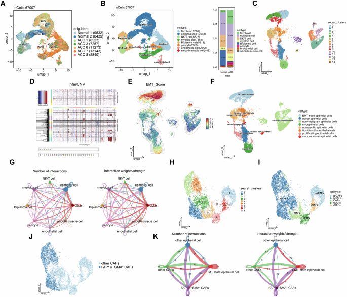 Fig. 2: Single-cell RNA-seq profiling reveals crosstalk between EMT-state epithelial cells and activated CAFs in ACC.